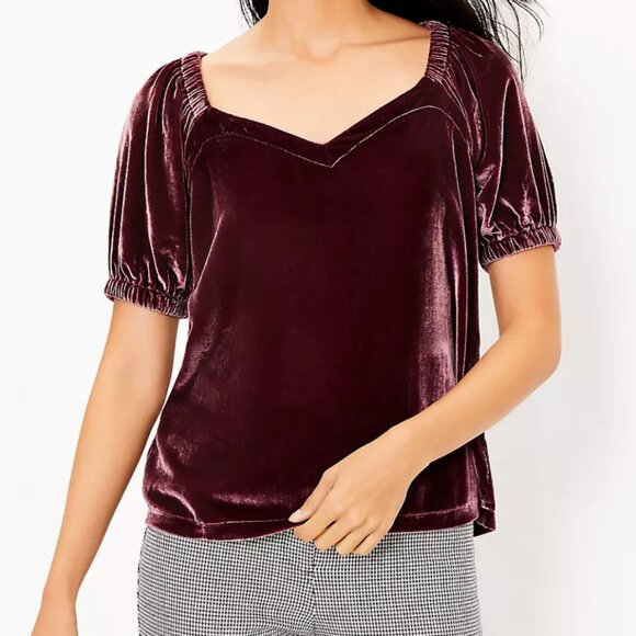 NWT LOFT Elegant Velvet Puff Sleeve Top Size S - Picture 1 of 9